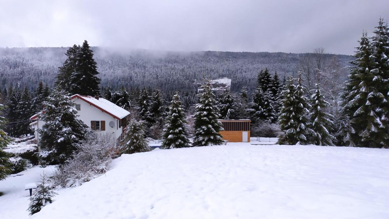 Maison Familiale 3 Chambres Au Calme Dans La Nature Gérardmer Εξωτερικό φωτογραφία
